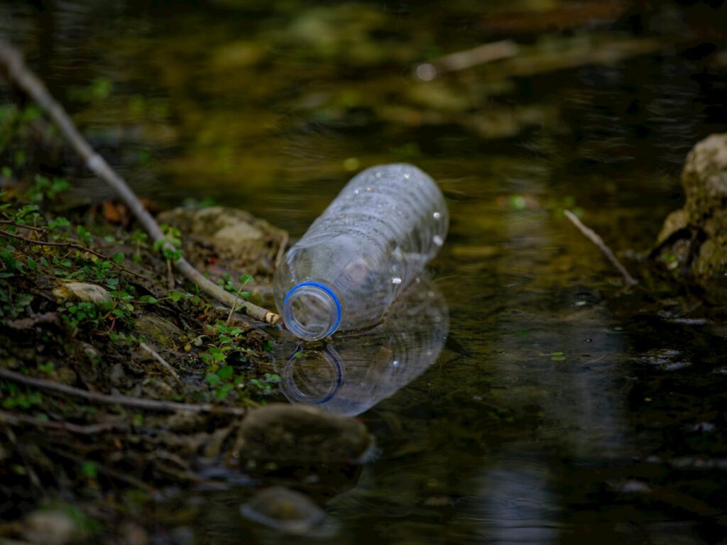 Plastic bottle floating in a natural stream highlights pollution issues.