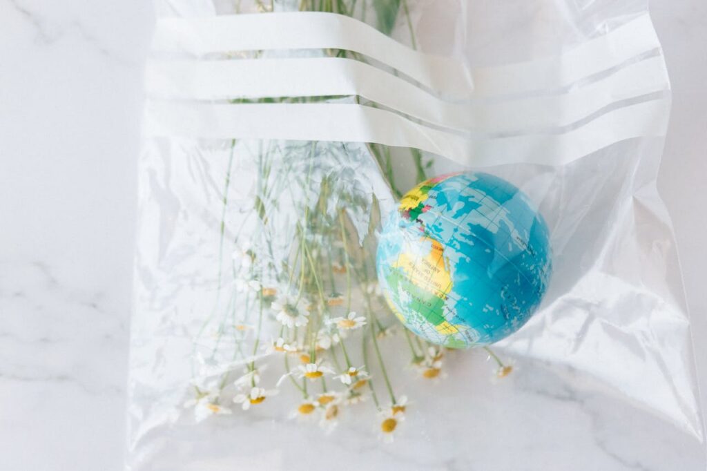 Symbolic image of a globe and daisies in a plastic bag, highlighting environmental conservation.