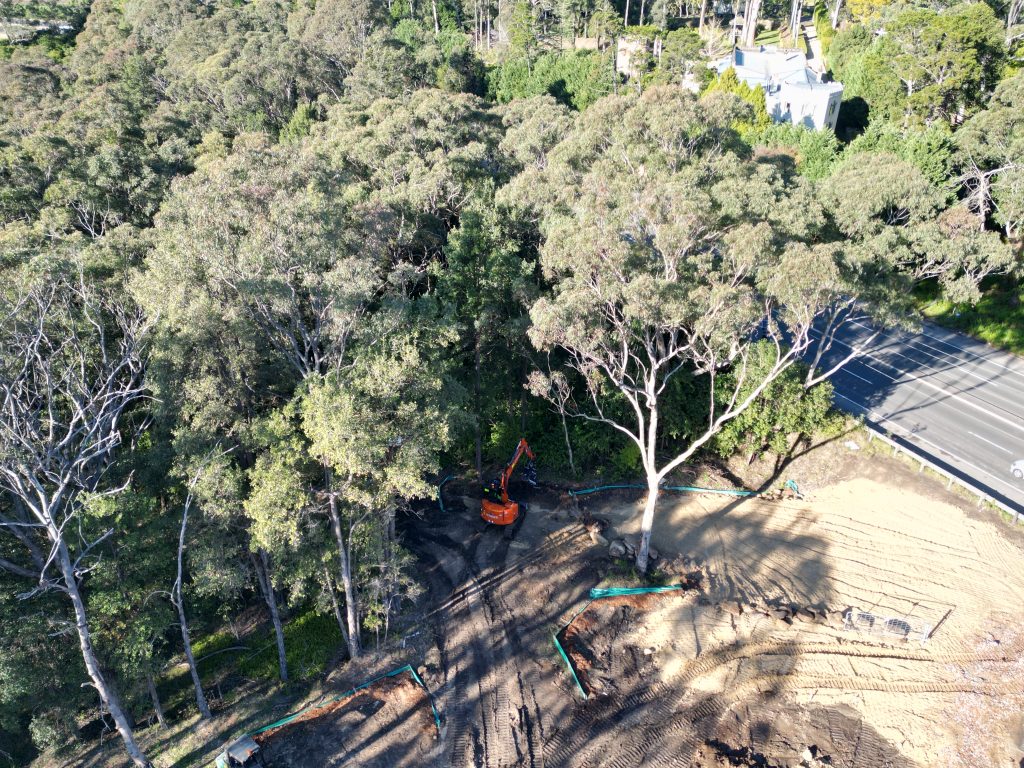 Tree Removal Blue Mountains: Bushland, Slopes and Storm Risk Tree Removal Blue Mountains: Bushland, Slopes and Storm Risk