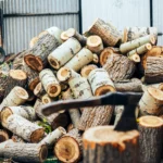 Firewood Sydney: How to Choose Dry Hardwood That Burns Well