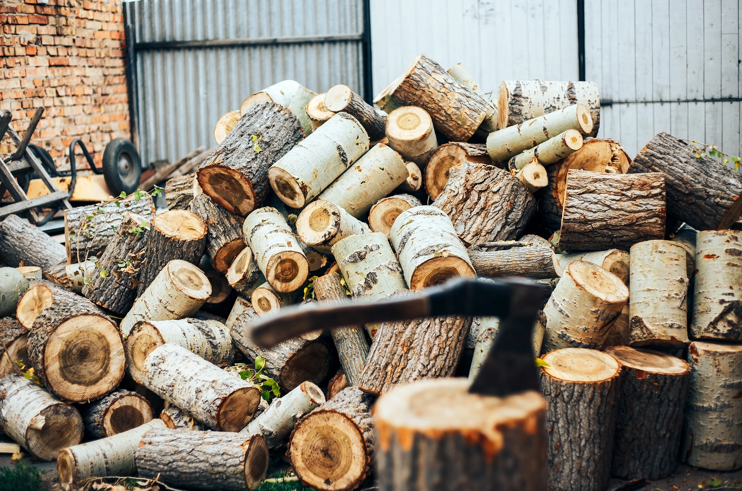 Firewood Sydney: How to Choose Dry Hardwood That Burns Well
