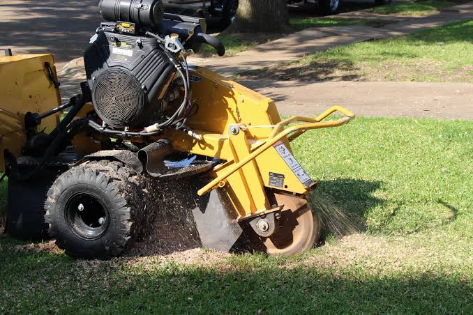 Stump Grinding Sydney: Costs, Depths and the Right Finish Stump Grinding Sydney: Costs, Depths and the Right Finish