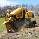 Stump Grinding Sydney: Costs, Depths and the Right Finish