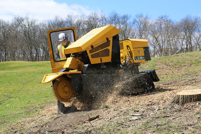 Stump Grinding Sydney: Costs, Depths and the Right Finish