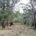 Tree Removal Blue Mountains: Bushland, Slopes and Storm Risk
