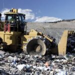 Green Waste Removal Sydney: Costs, Rules and What Happens Next