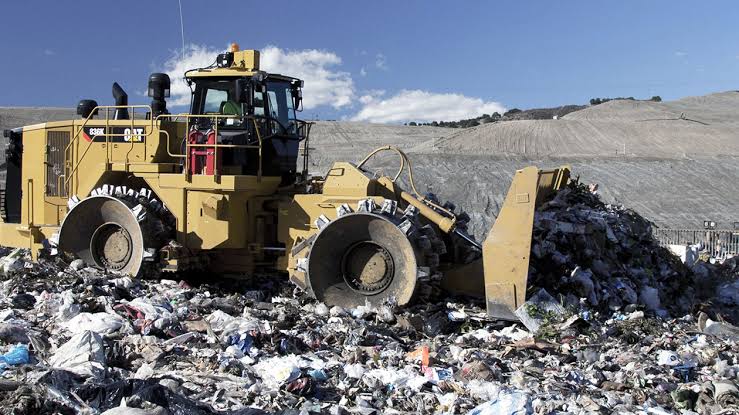 Green Waste Removal Sydney: Costs, Rules and What Happens Next