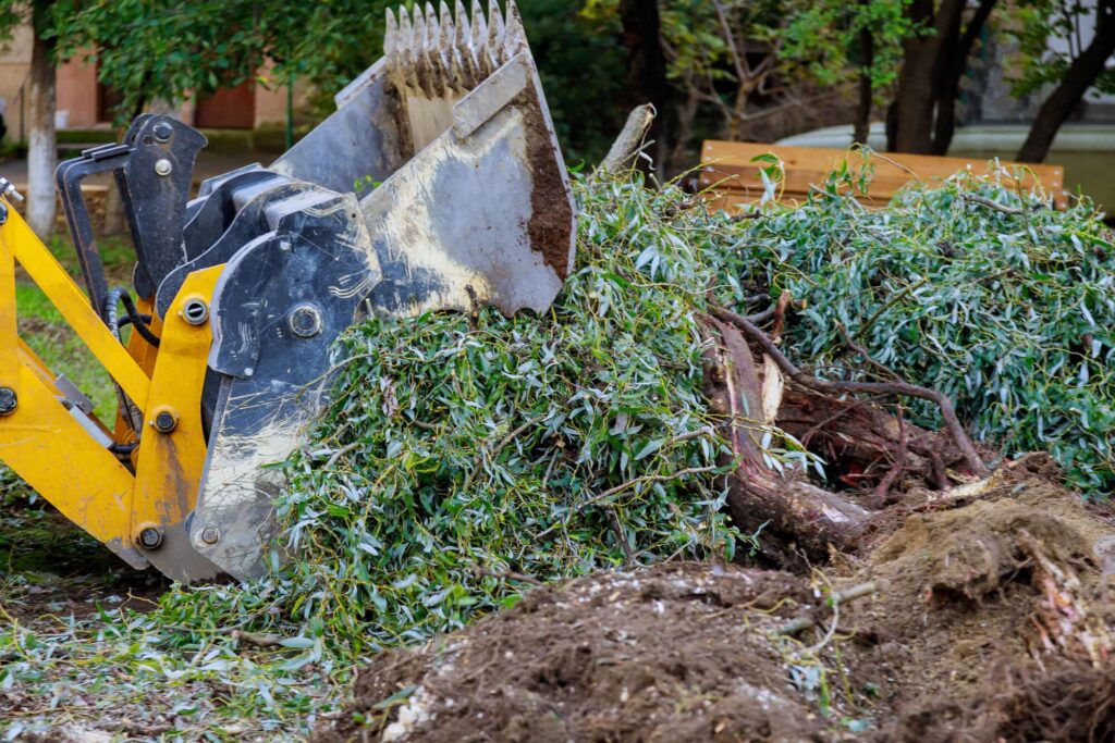 Tree Stump Removal: Sydney Methods Compared Honestly Tree Stump Removal: Sydney Methods Compared Honestly
