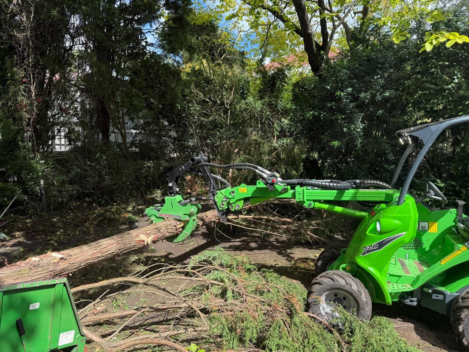 Tree Stump Removal: Sydney Methods Compared Honestly